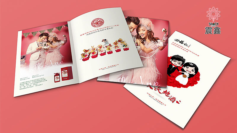 田福記產(chǎn)品手冊設(shè)計