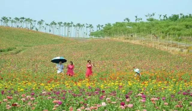 國(guó)務(wù)院@你，本周這8件民生大事，千萬(wàn)別錯(cuò)過(guò)