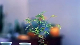 九氣、九局、九品、九悟、九雅（薦讀）