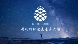 小米公司松果電子品牌LOGO